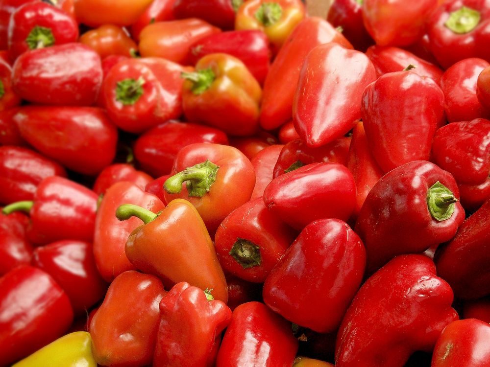 Tomatoes, vegetables. Free public domain CC0 image