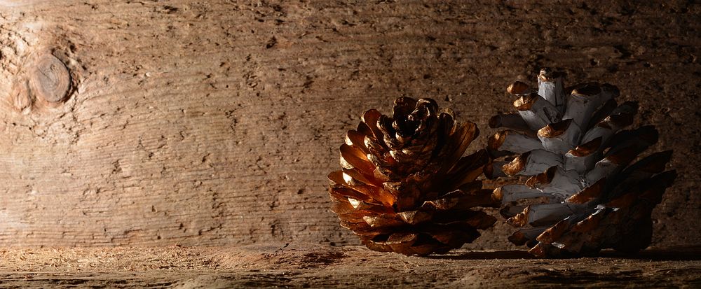 Pine cones, wood background. Free public domain CC0 photo.