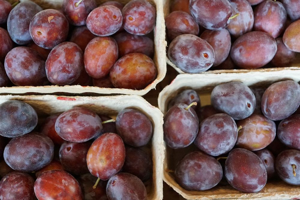 Closeup on fresh plums in carton boxes. Free public domain CC0 photo.