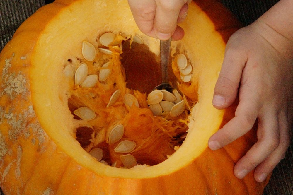 Carving Halloween pumpkin. Free public domain CC0 photo.