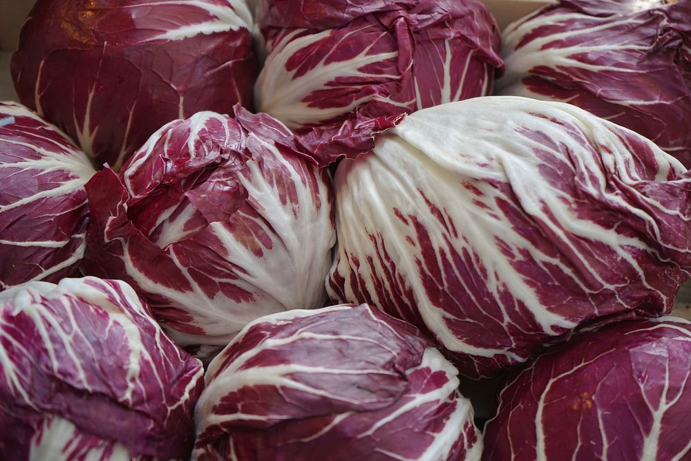 Purple cabbage. Free public domain CC0 photo