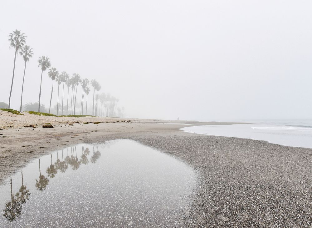 Empty cloudy beach. Free public domain CC0 image.