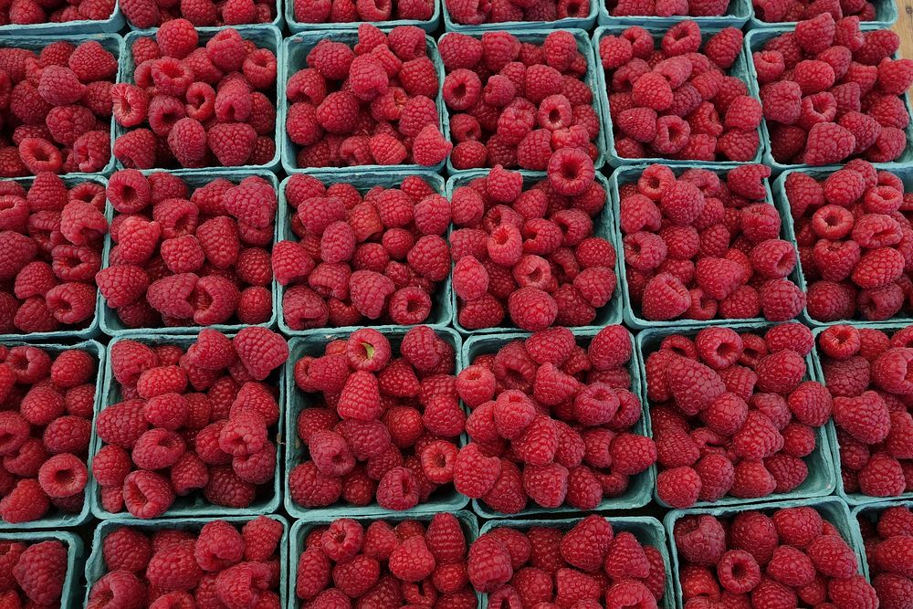 Red raspberries in boxes. Free public domain CC0 image. 