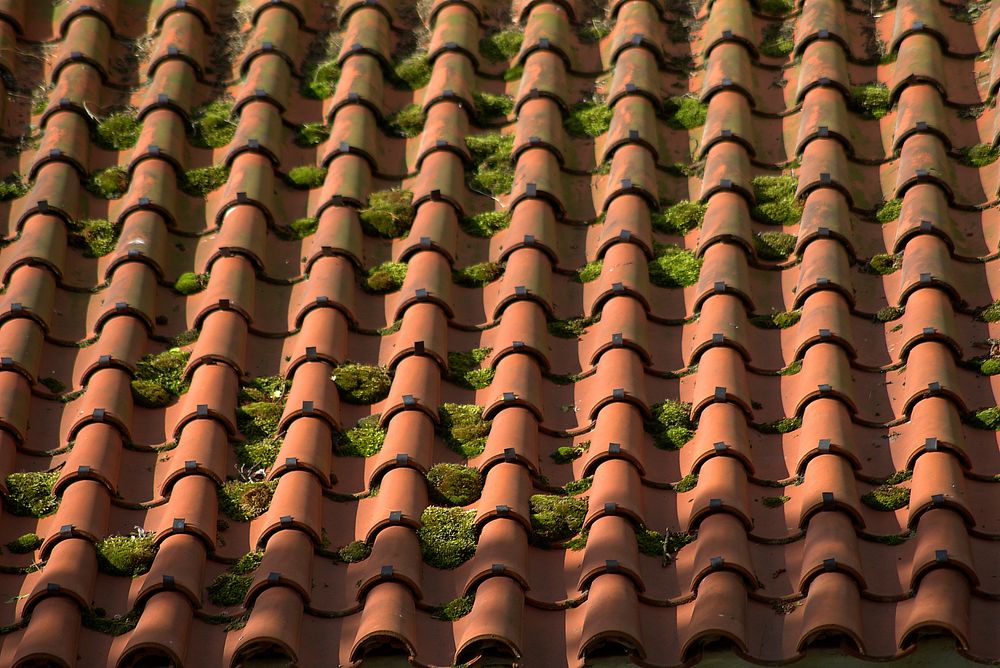 Roof texture pattern. Free public domain CC0 photo.