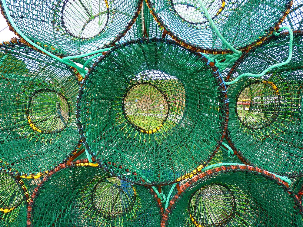 Fishing nest. Free public domain CC0 photo.