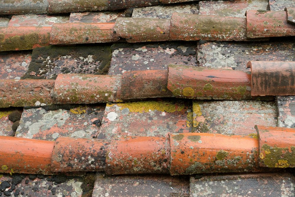 Roof texture pattern. Free public domain CC0 photo.