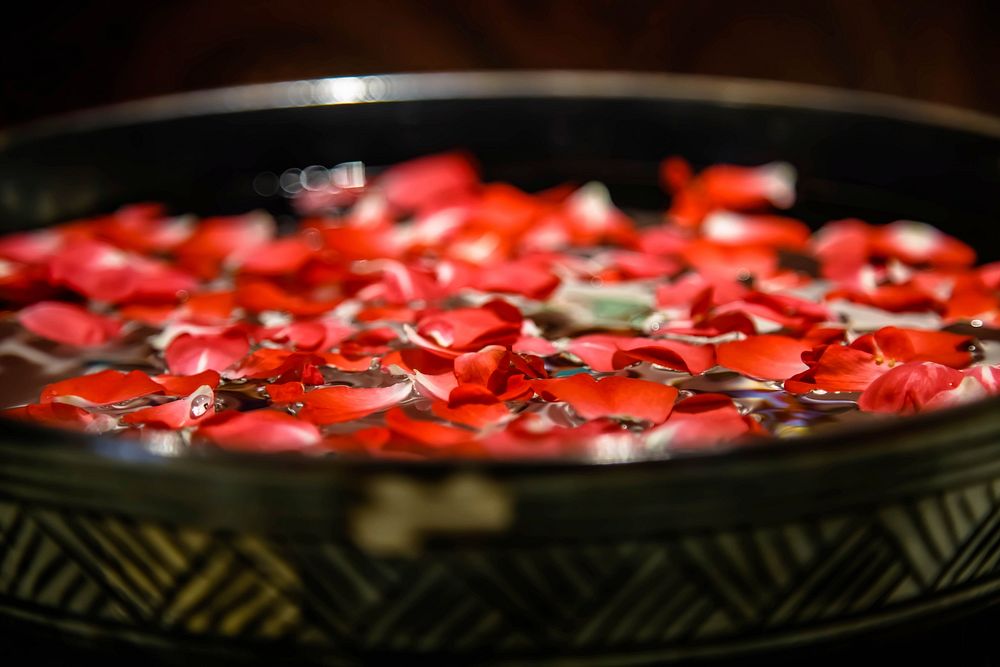 Red rose petal background. Free public domain CC0 image.