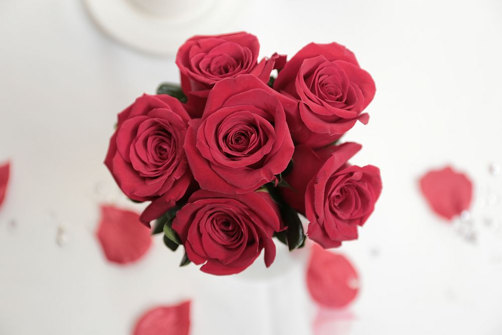 Red roses background. Free public domain CC0 photo.