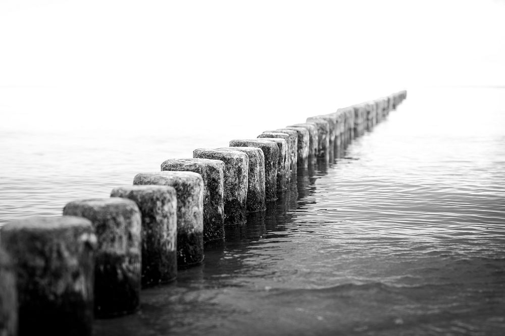 Baltic beach, black and white. Free public domain CC0 image.