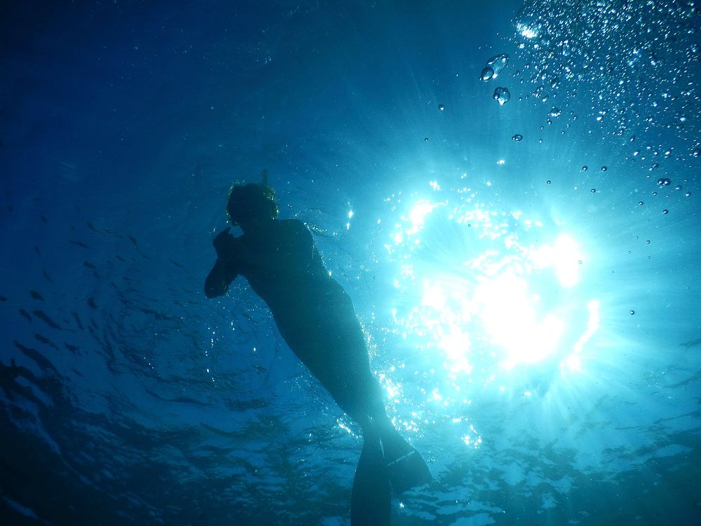 Underwater world, background photo. Free public domain CC0 image.