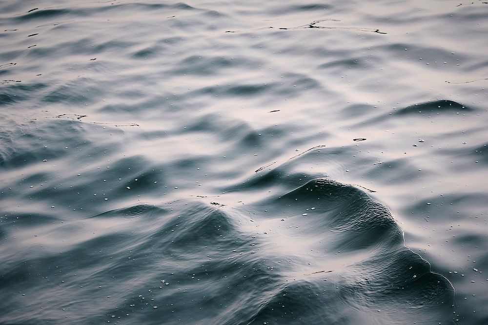 Calm sea waves close up. Free public domain CC0 photo.
