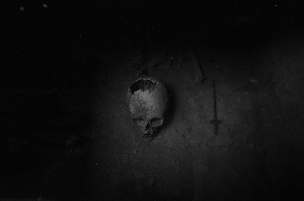 Human skull. Free public domain CC0 photo