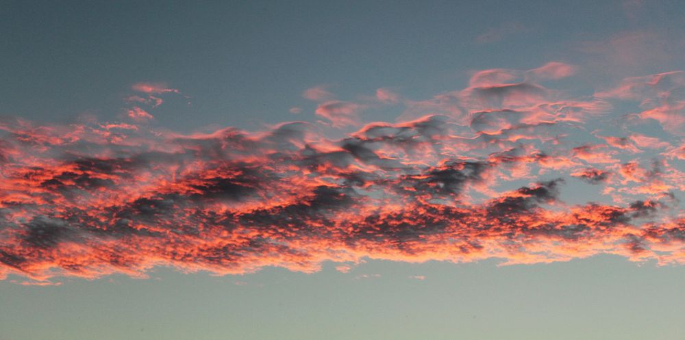 Morning sky background. Free public domain CC0 photo.