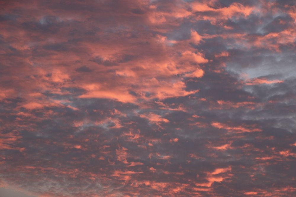 Evening sky background. Free public domain CC0 photo.