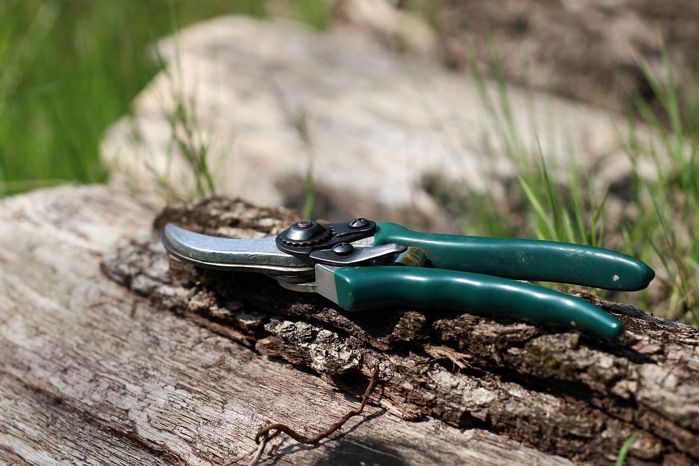 Pliers, gardening tool. Free public domain CC0 photo.