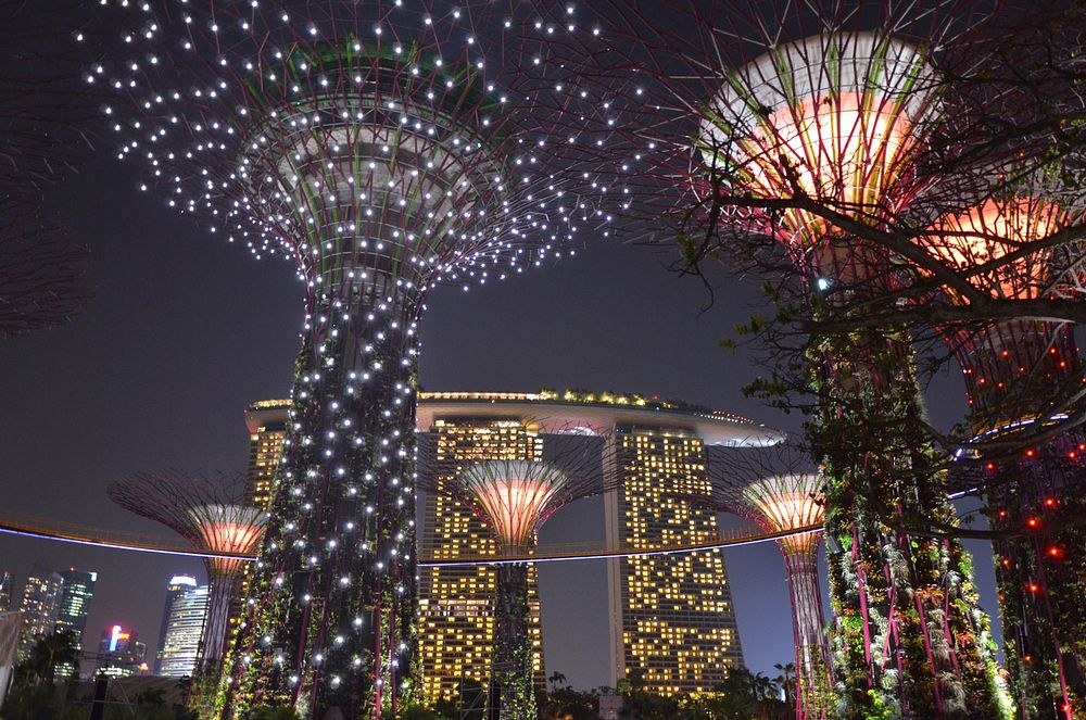 Garden Rhapsody, Singapore. Free public domain CC0 photo.