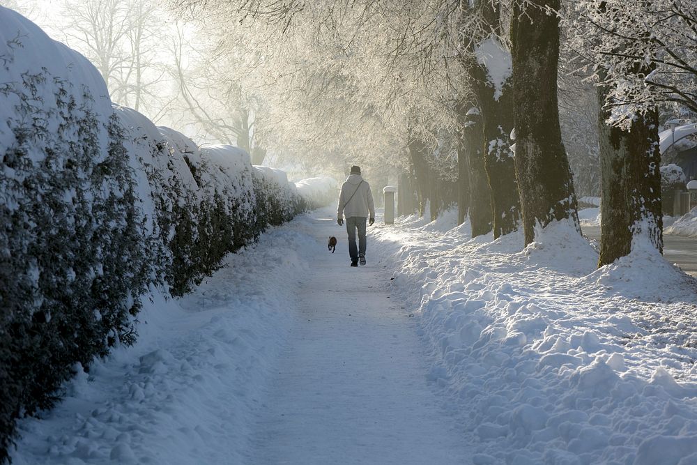 Winter stroll in the park. Free public domain CC0 photo.