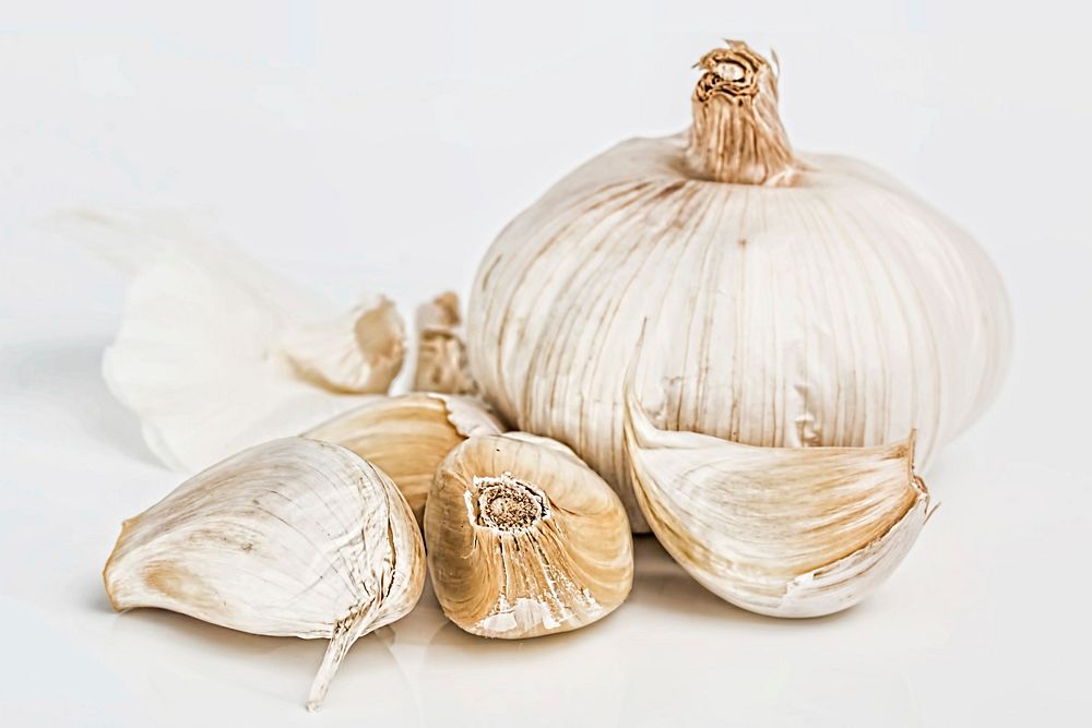 Free garlic photo, public domain vegetable CC0 image.
