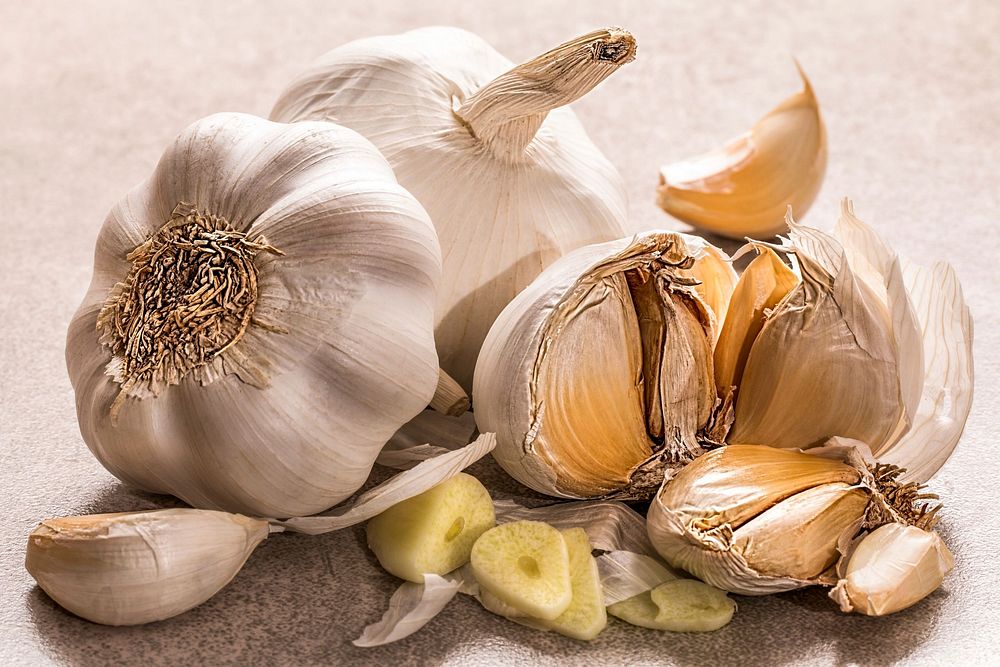 Free garlic image, public domain vegetable CC0 photo.
