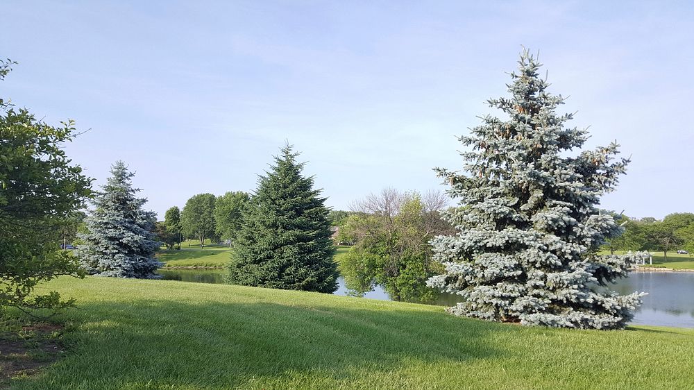Beautiful nature background. Free public domain CC0 photo.