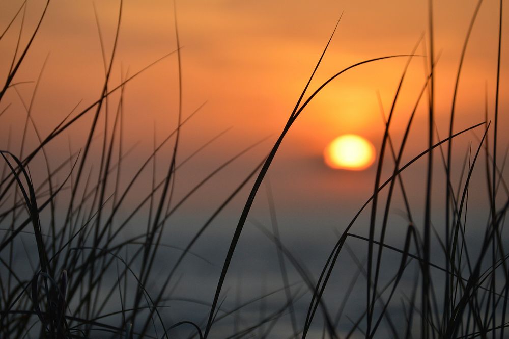 Beautiful sunset background. Free public domain CC0 photo.