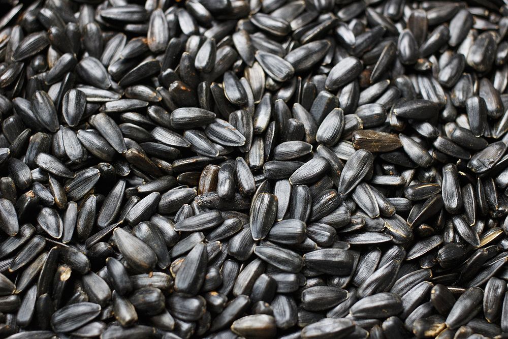 Grains & seeds. Free public domain CC0 image