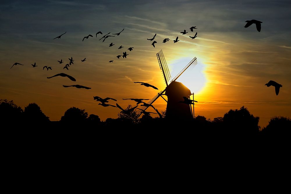 Windmill and birds at sunset. Free public domain CC0 image.