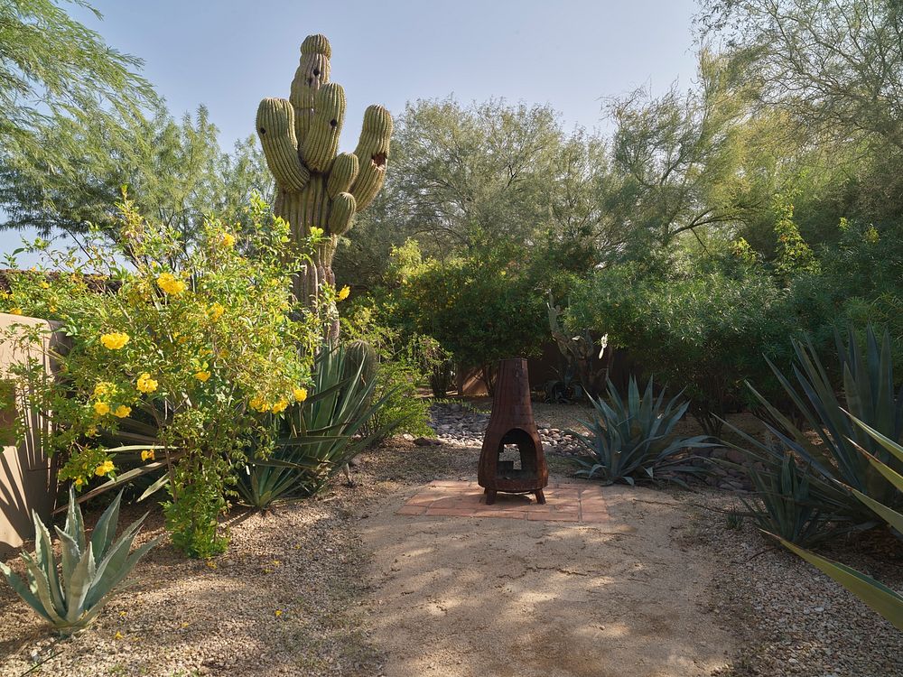 Cactus garden at the Hermosa Inn, a secluded hotel, restaurant, and lounge &mdash; or &ldquo;boutique hideaway&rdquo; in the…
