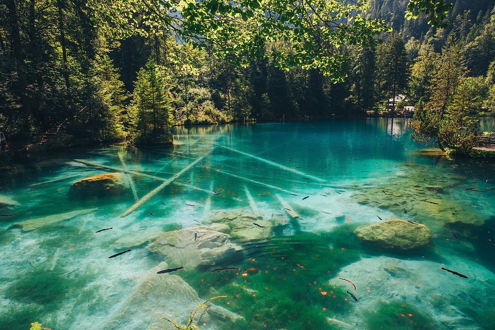 Mountain Lake in the Alps 