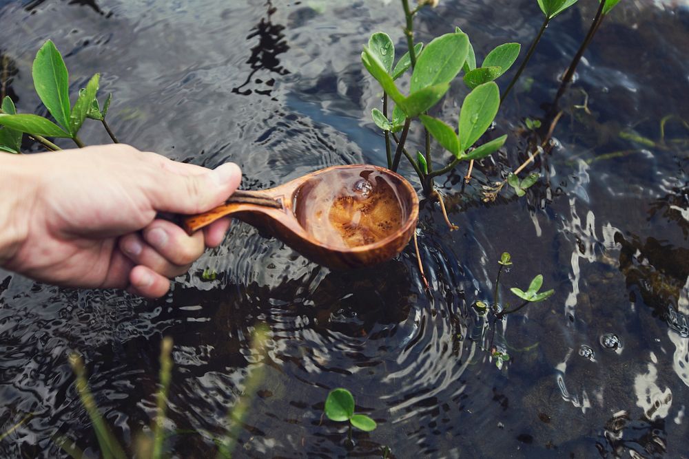 Free wooden spoon in water public domain CC0 photo.