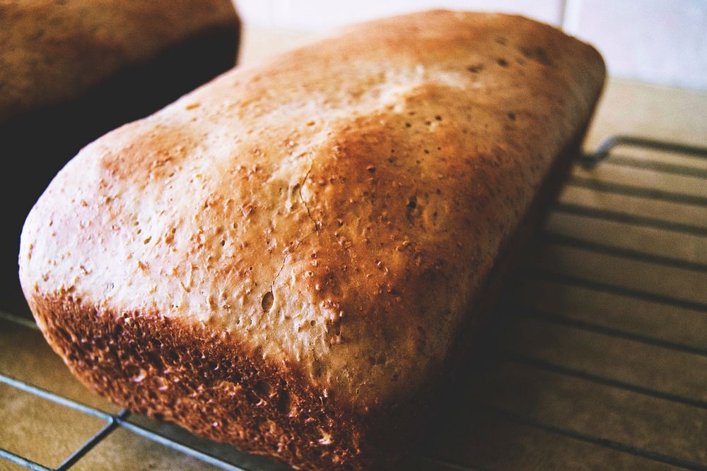 Free close up fresh baked ciabatta image, public domain food CC0 photo.