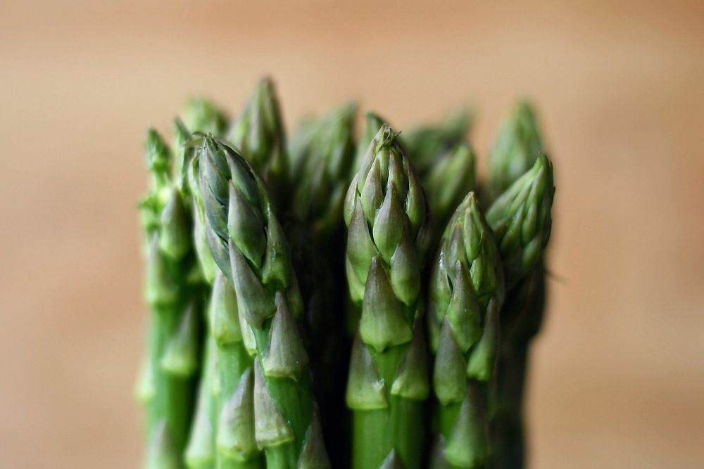 Free asparagus bundle close up photo, public domain vegetables CC0 image.
