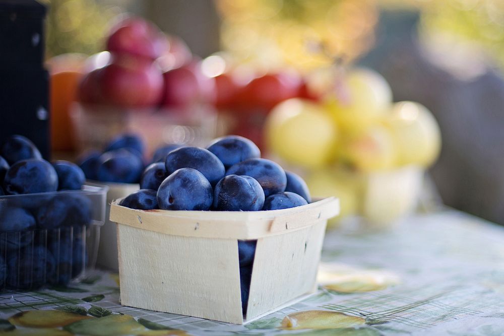 Free blueberries photo, public domain fruit CC0 photo