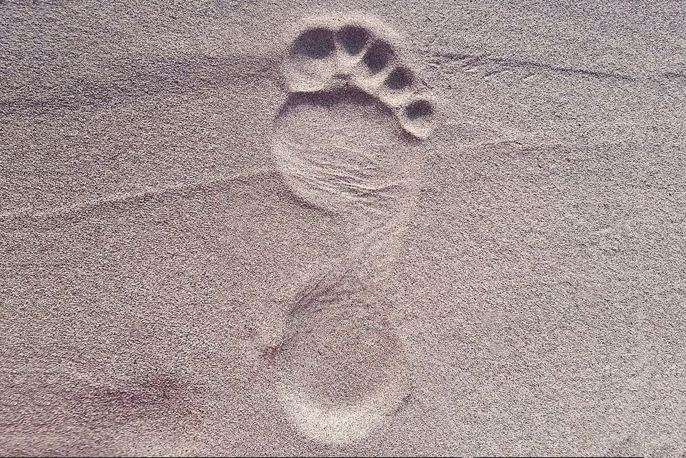 Free footprint on sand image, public domain beach CC0 photo.