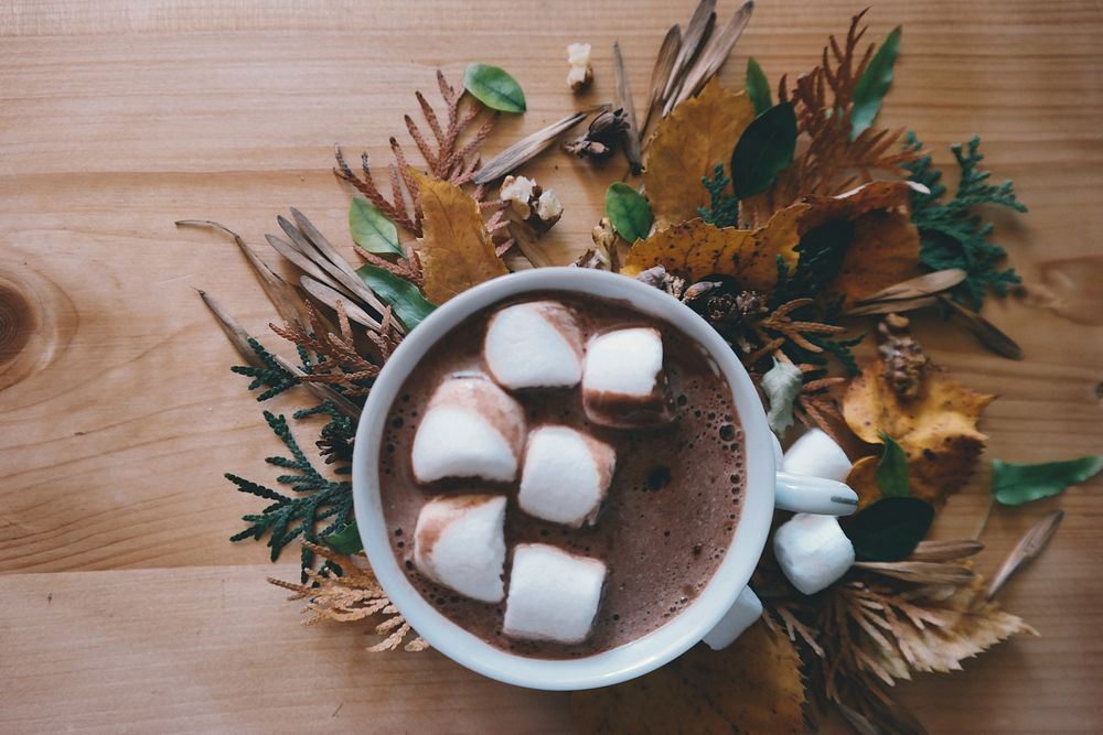 Free hot chocolate image, public domain food CC0 photo.