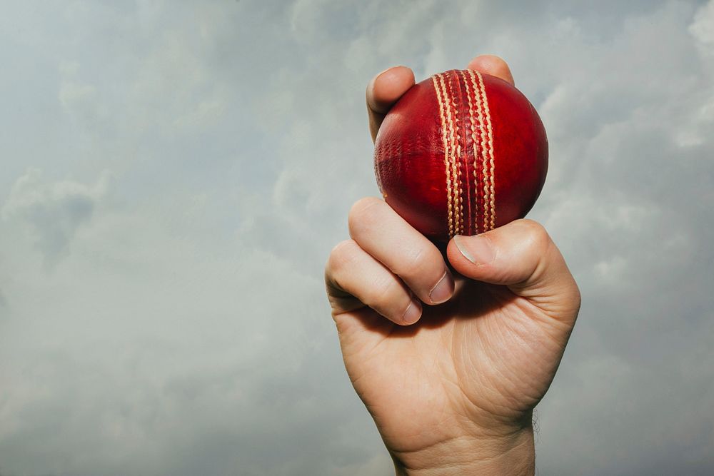 Free hand holding cricket ball image, public domain people CC0 photo.Cricket Ball