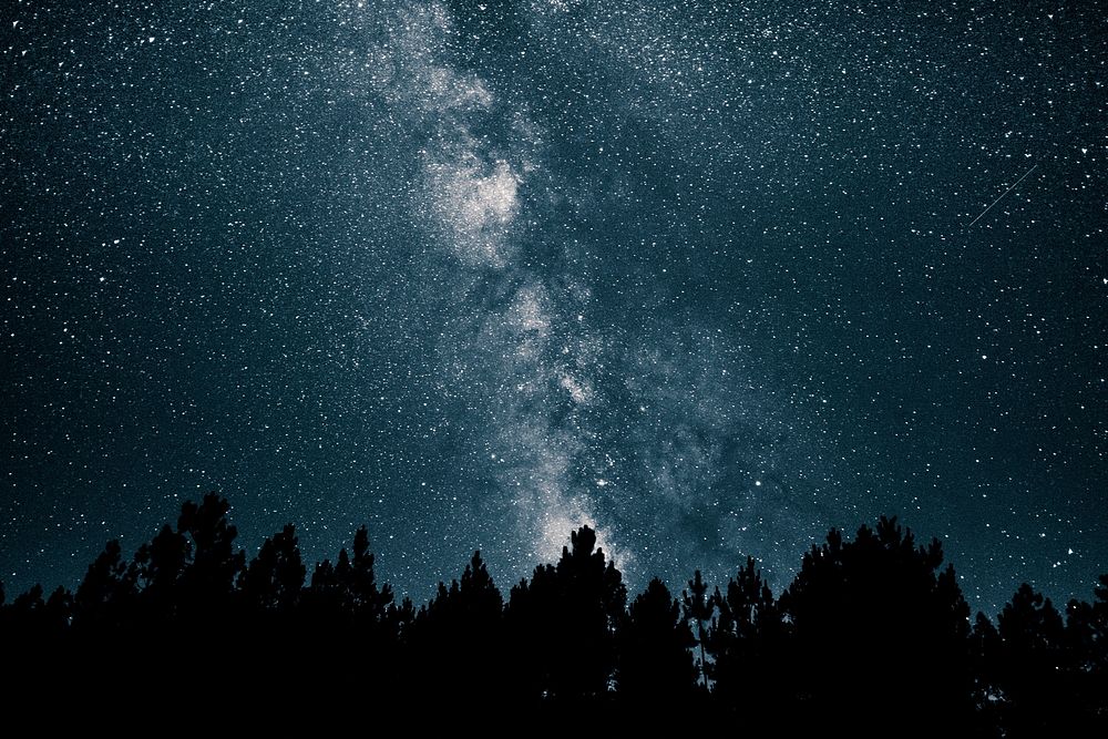 Starry sky over forest silhouette, free public domain CC0 photo.