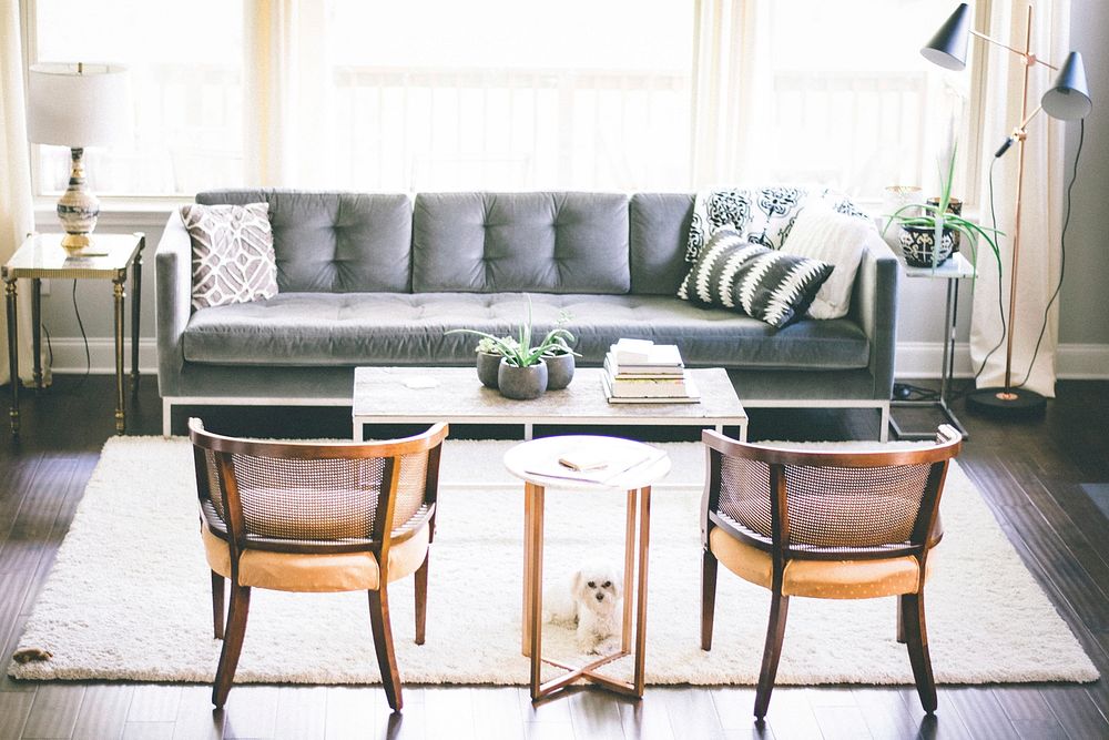 Free minimal living room with dog public domain CC0 photo.