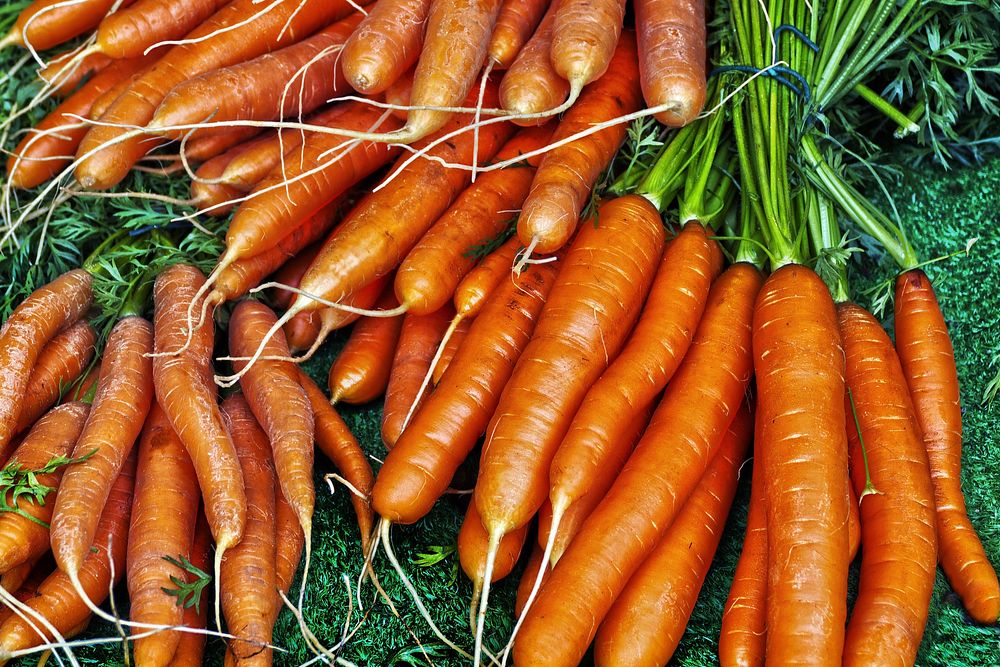 Free carrots top view image, public domain food CC0 photo.