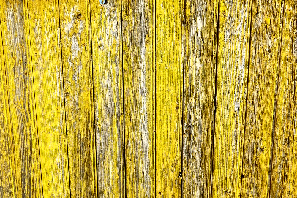 Yellow Wood Fence 