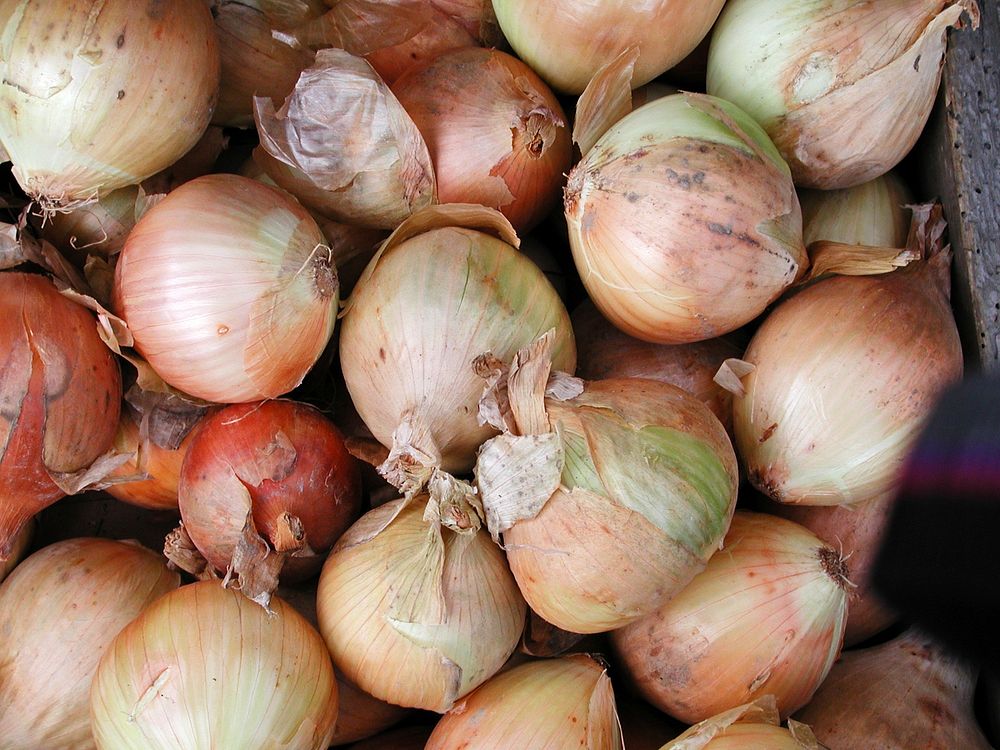 Onions Farmers Market 