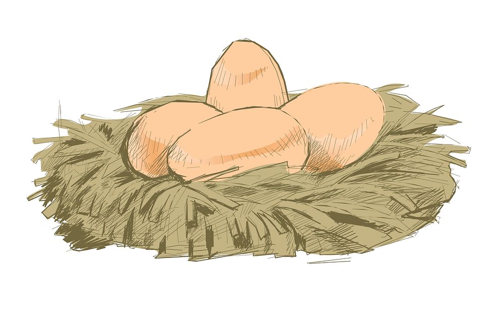 Illustration drawing style of hen eggs