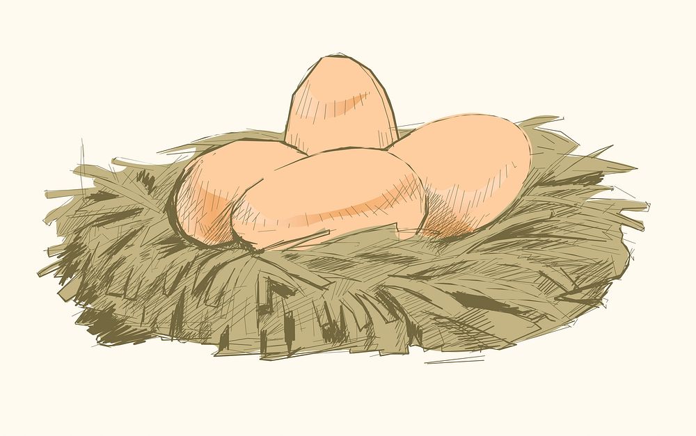 Illustration drawing style of chicken eggs