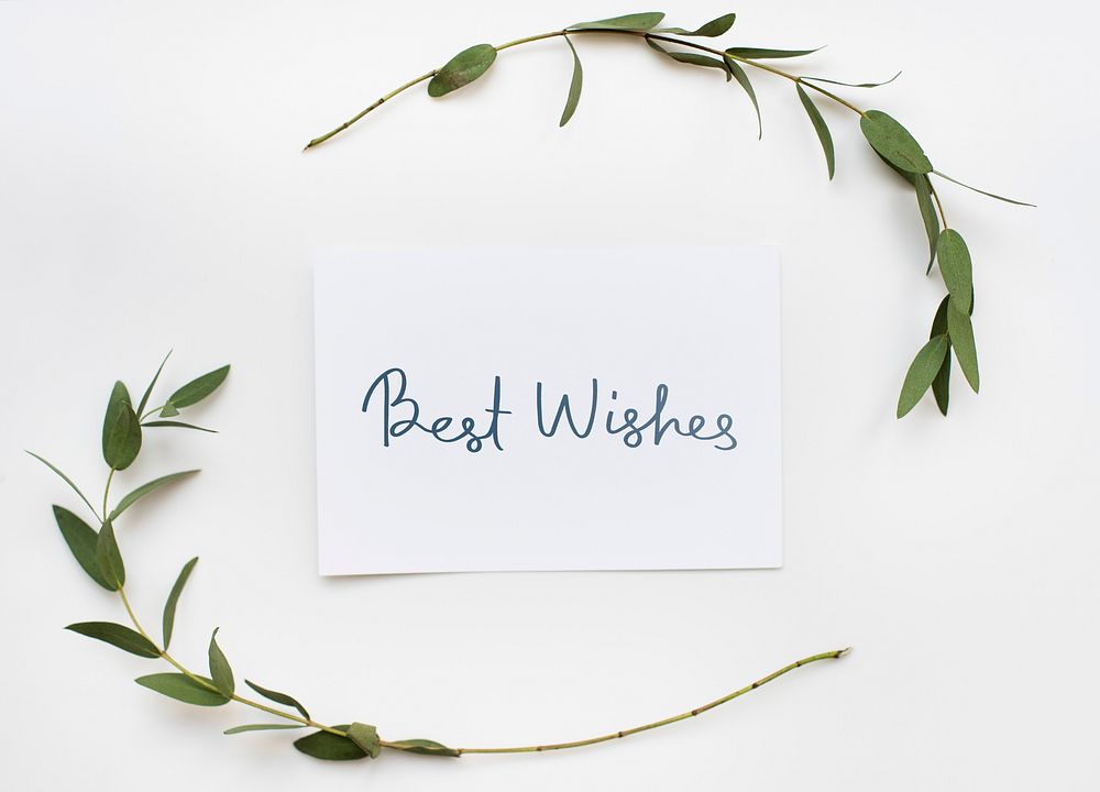 Best Wishes card in a green plant decoration