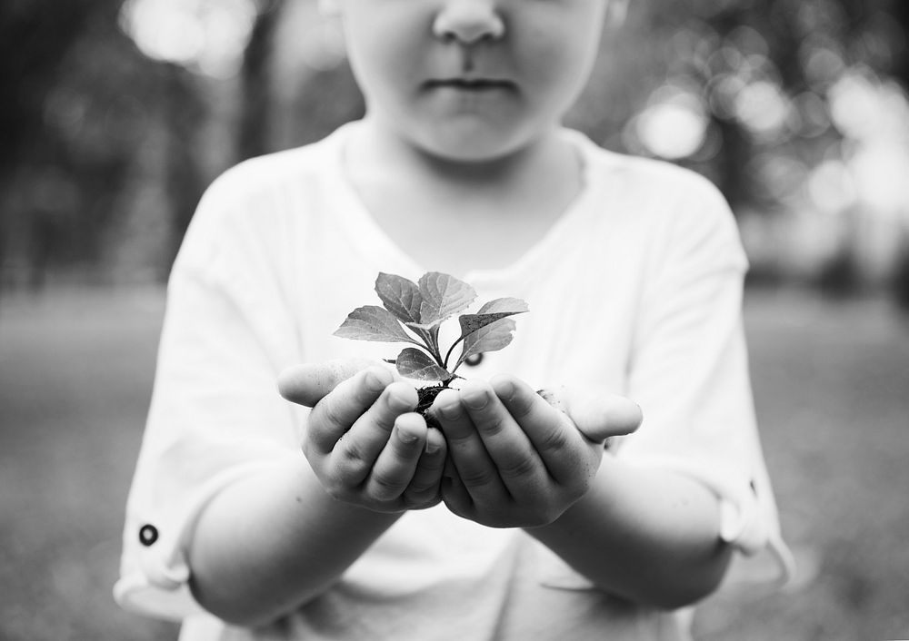 Little boy holding a plant