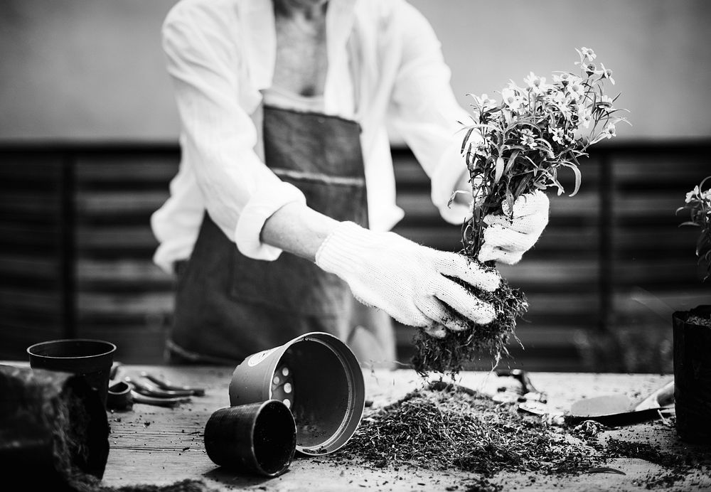 Woman planting flowers in a greenhouse