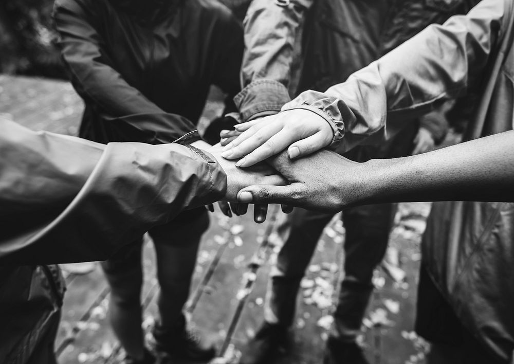 Team building outdoor in the forest