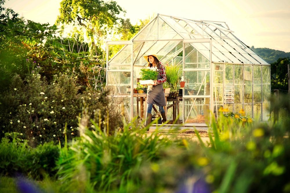 Woman gardening in a greenhouse