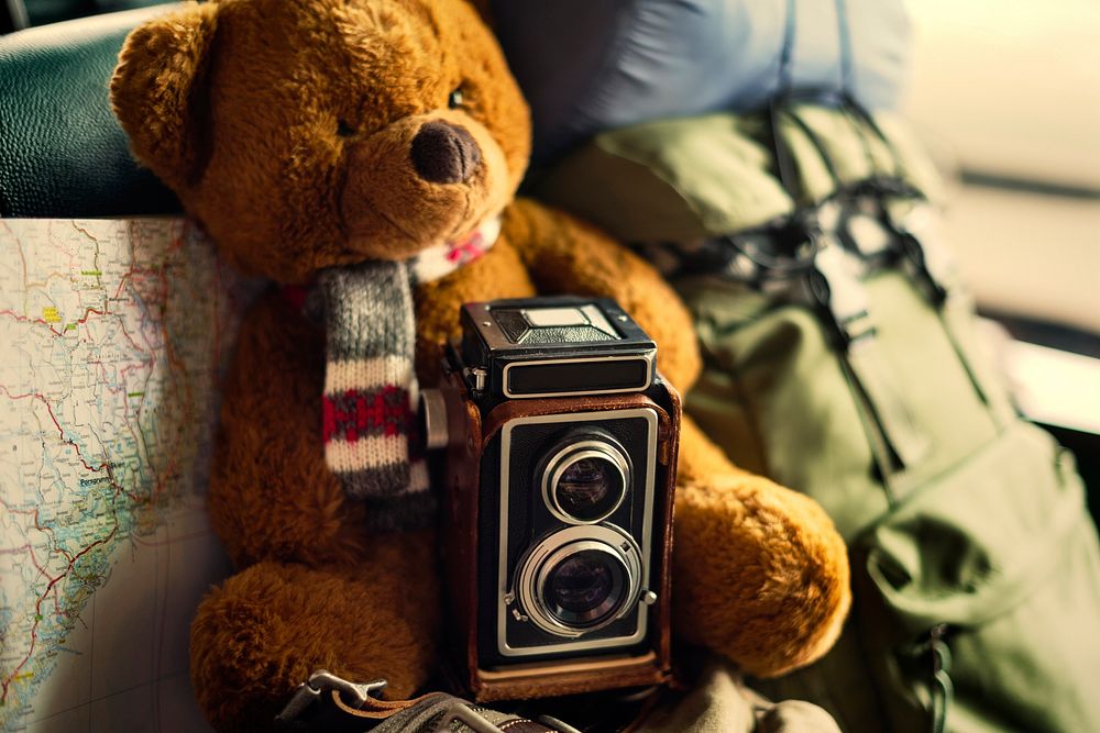 Closeup of a teddy bear with a camera and a map