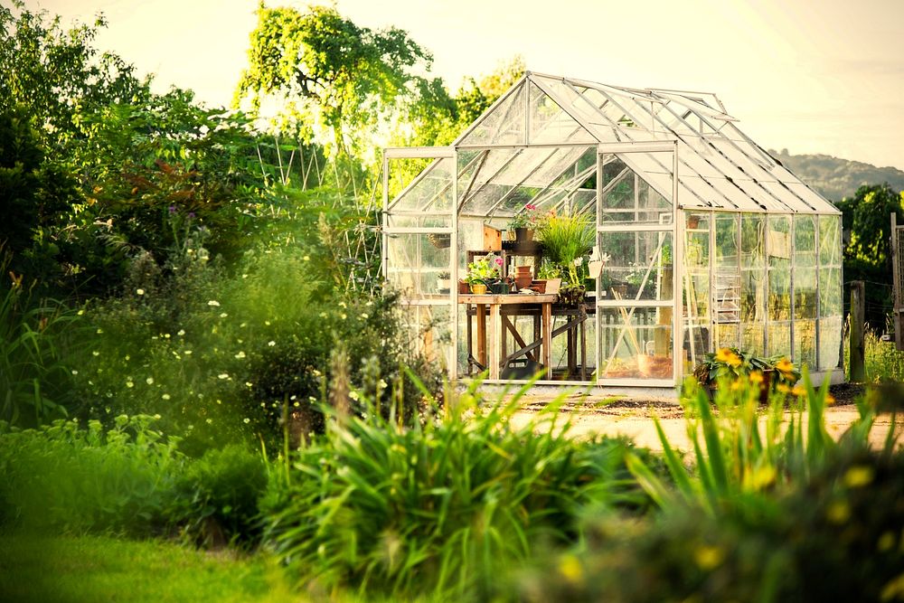 Greenhouse in a lush garden